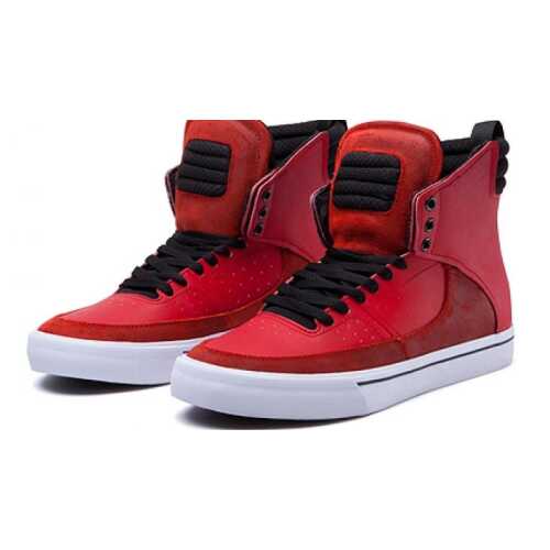 Supra Kondor