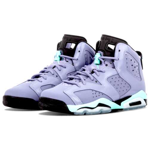 Air Jordan 6 Retro GG"Iron Purple"
