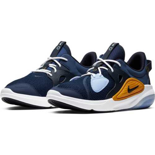 Men's Shoe Nike Joyride CC