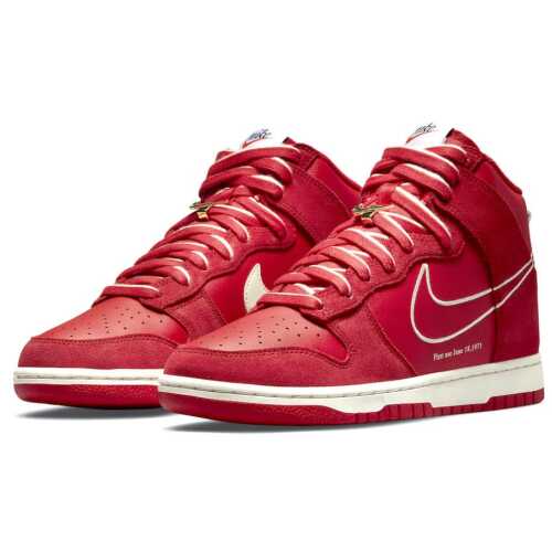 NIKE DUNK HI SE "First Use"