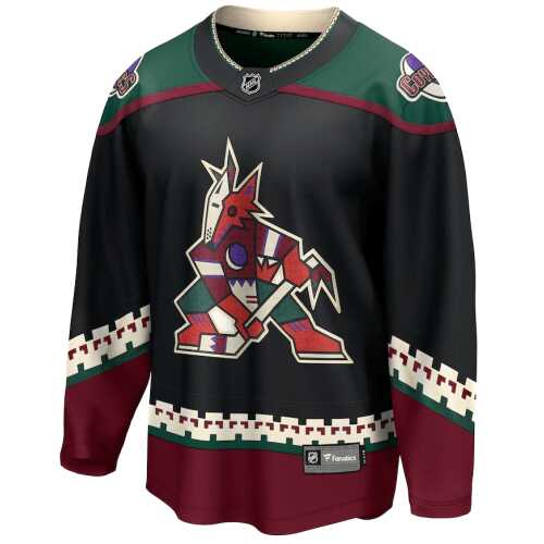 Men's Jersey NHL Fanatics Branded Arizona Coyotes Alternate Breakaway Jersey