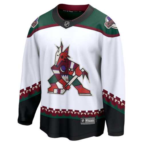 Men's Jersey NHL Fanatics Branded Arizona Coyotes Alternate Breakaway Jersey