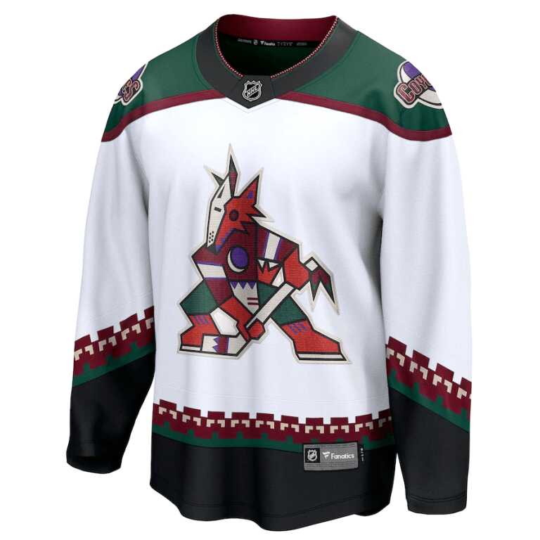 Men's Jersey NHL Fanatics Branded Arizona Coyotes Alternate Breakaway Jersey