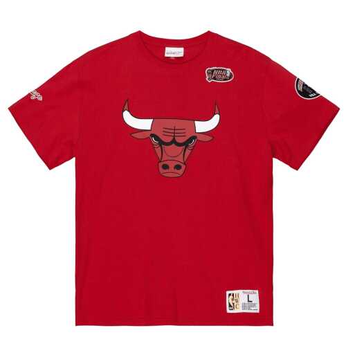 Mitchell & Ness Team Origins S/S Top Chicago Bulls
