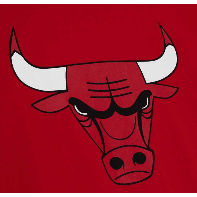 Mitchell & Ness Team Origins S/S Top Chicago Bulls - Image 3
