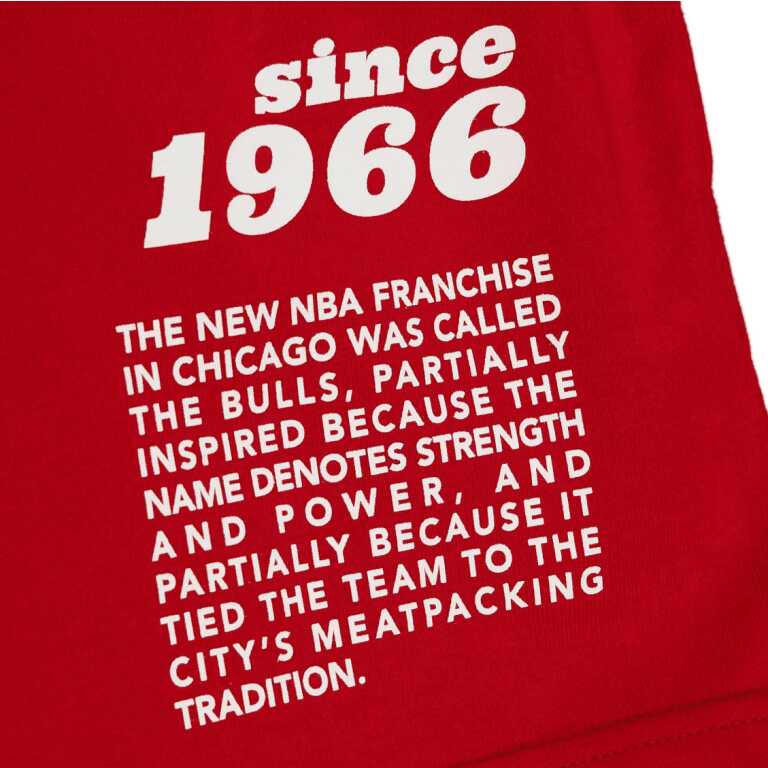 Mitchell & Ness Team Origins S/S Top Chicago Bulls - Image 5